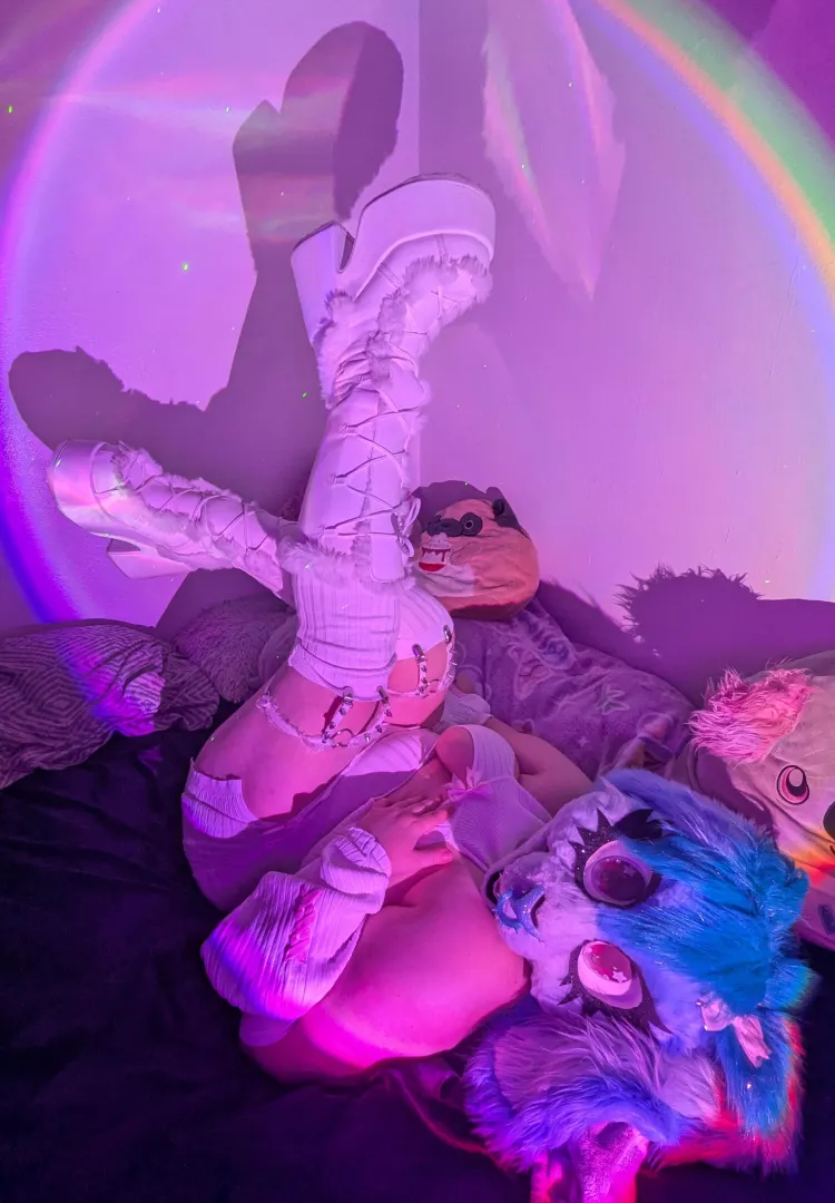 Gravity just hits different around this bun ‍ [TrixiesToyBox] posted by TrixiesToyBox