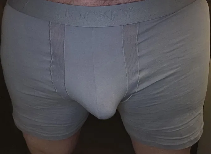 Gray Jockey day  by SMDBZ25