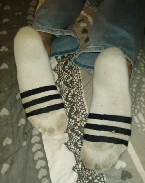 Great to see how much you are ho*ny to my stinky socks  by Next_Passion_1211