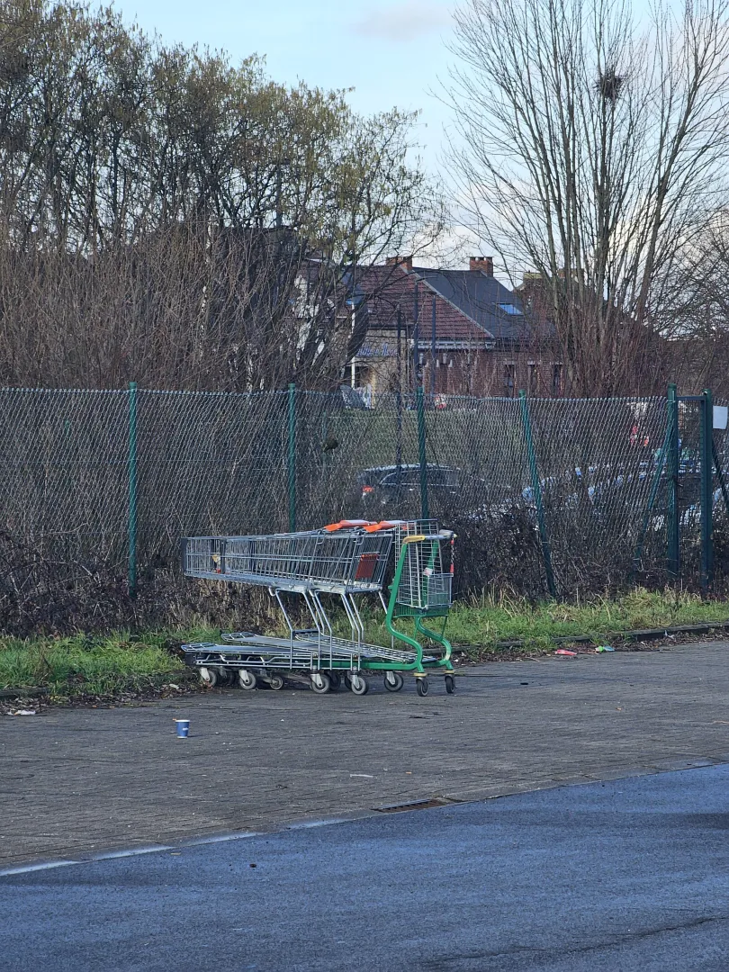 Green from behind posted by Successful-Bag-5618