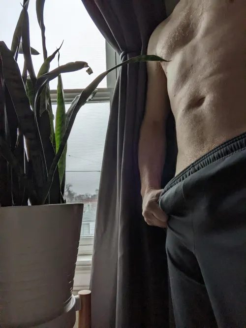Grey sweats on a grey snake plant Sunday [M] by CowpokeDaddy