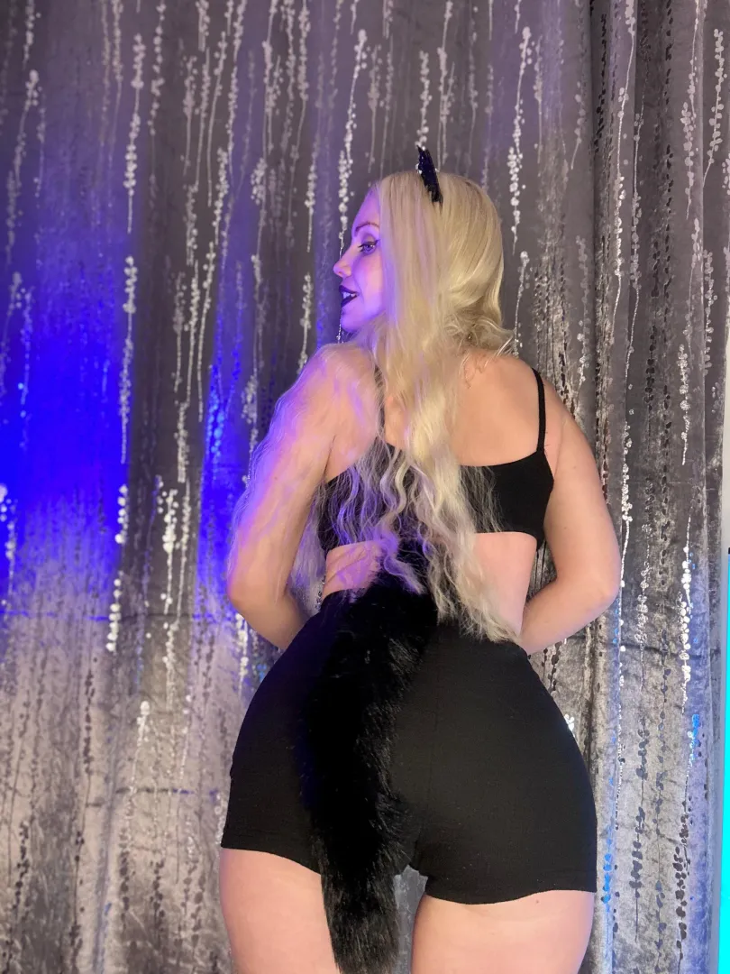 Guess how my tail is connected [f] posted by ittybityprettykitty