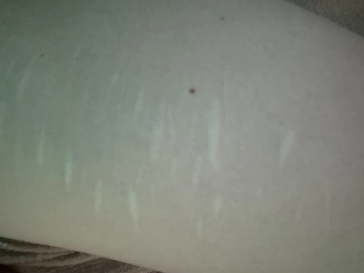 Guess the body part posted by saraonly420