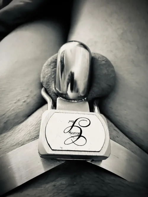 Guten Morgen  by Aggressive_Wind_8375