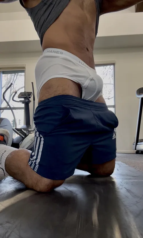 Gym mates? by jluis2024