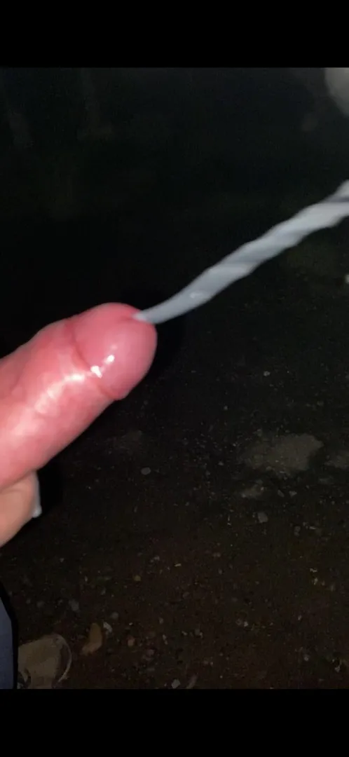 Had to blow of some steam on my evening walk posted by Inevitable_Profit836