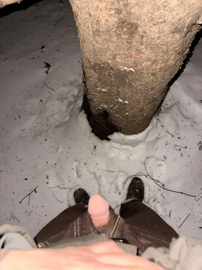 Had to take a pit stop on the way home from the party. It was a little cold… posted by Gay_ginger_jay