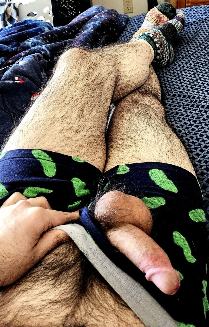 Hairy bear legs and bush [35] posted by picklejellytoast