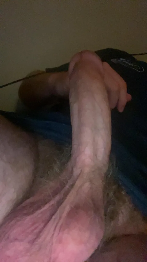 Hairy BWC for hungry dads posted by PM__Me223