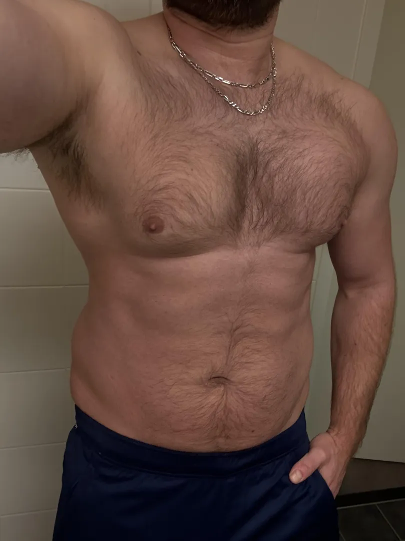 Hairy chest and a trail leading to a gift posted by PureHairyTorso