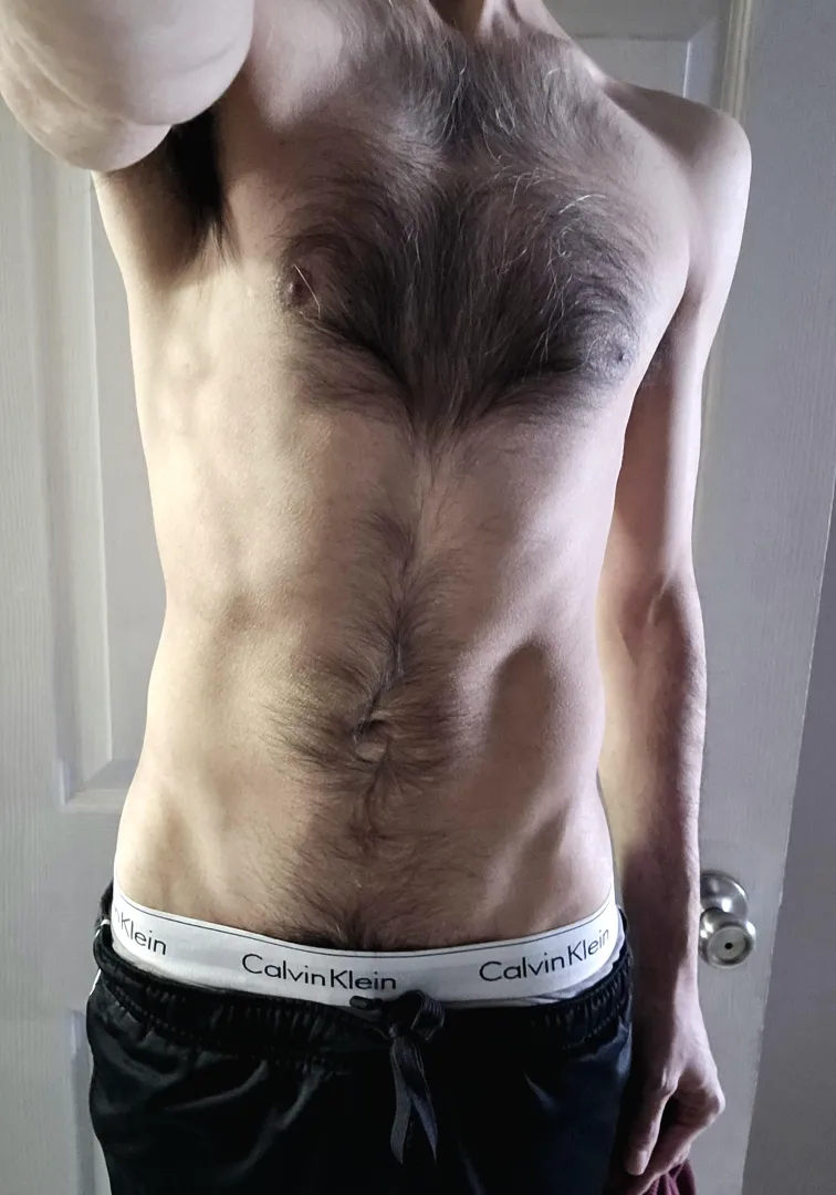 hairy chest and torso posted by OneShotRicoleto