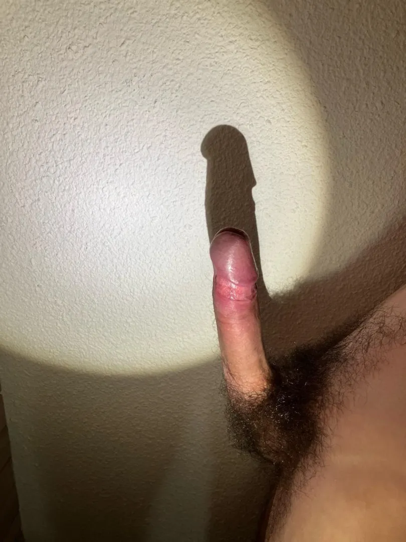 Hairy French twink playing with the shadow posted by ttNUyzu