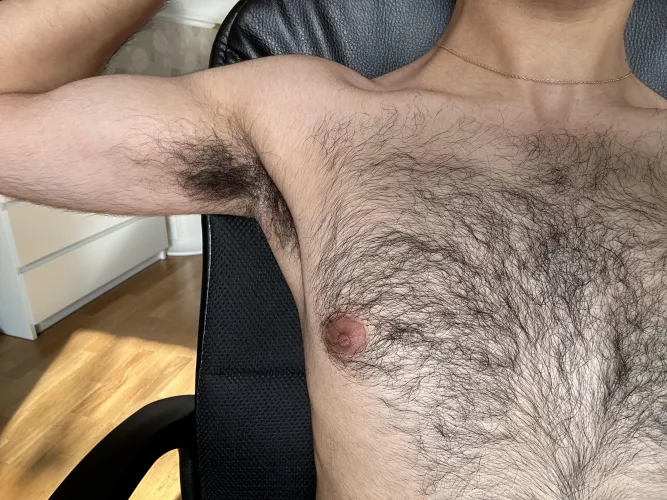 Hairy pits, hairy chest ;) by hairydboy