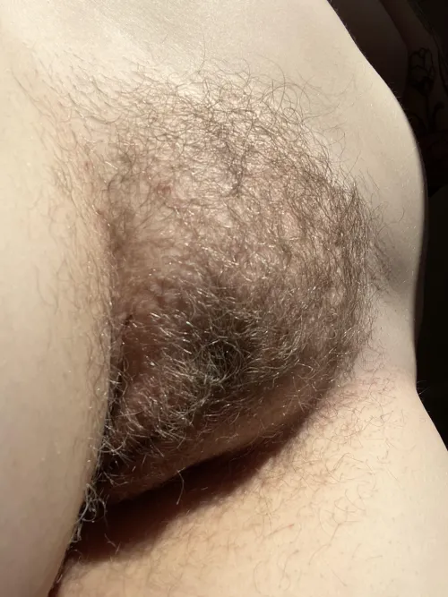 hairy pussy deserves to be eaten by otherarcticharl