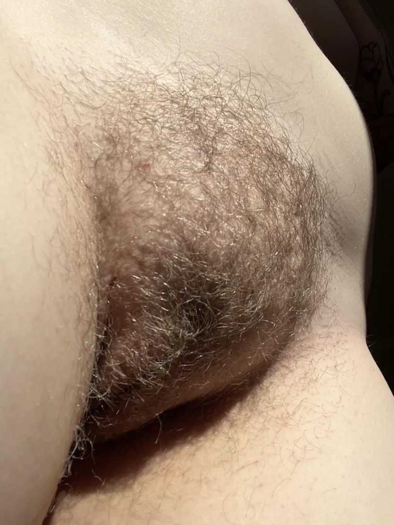 hairy pussy deserves to be eaten posted by otherarcticharl