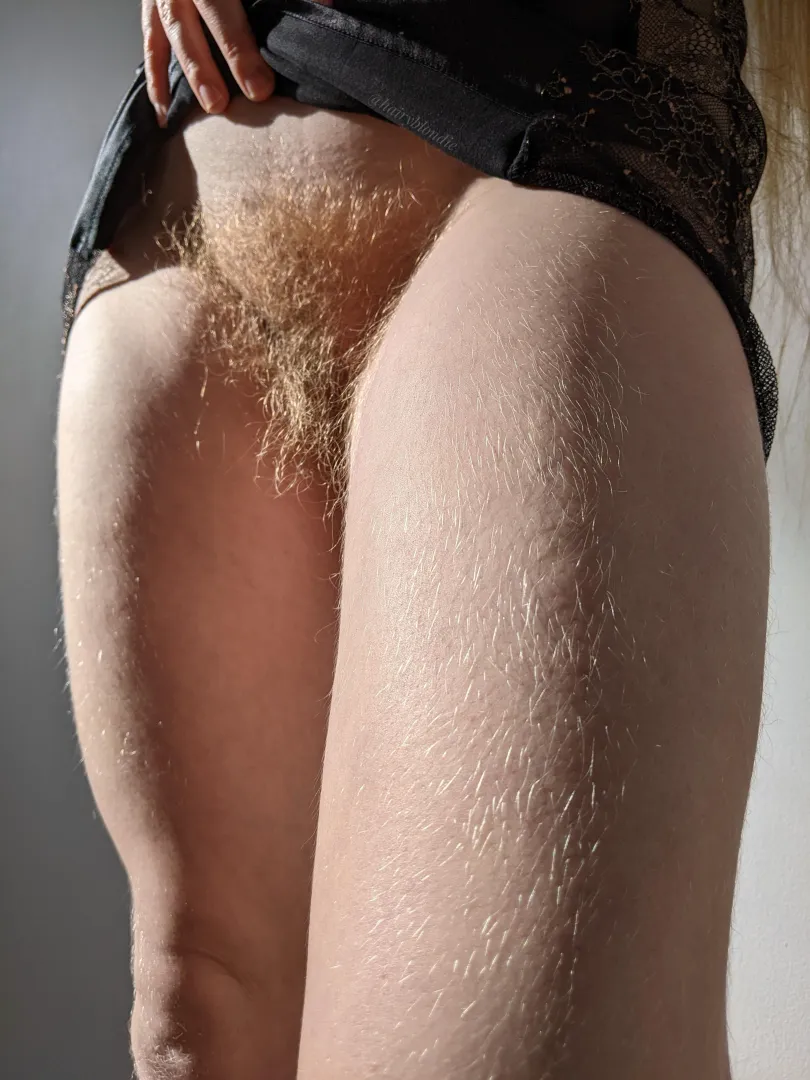 Hairy thighs lead to a golden prize posted by efiwfsn