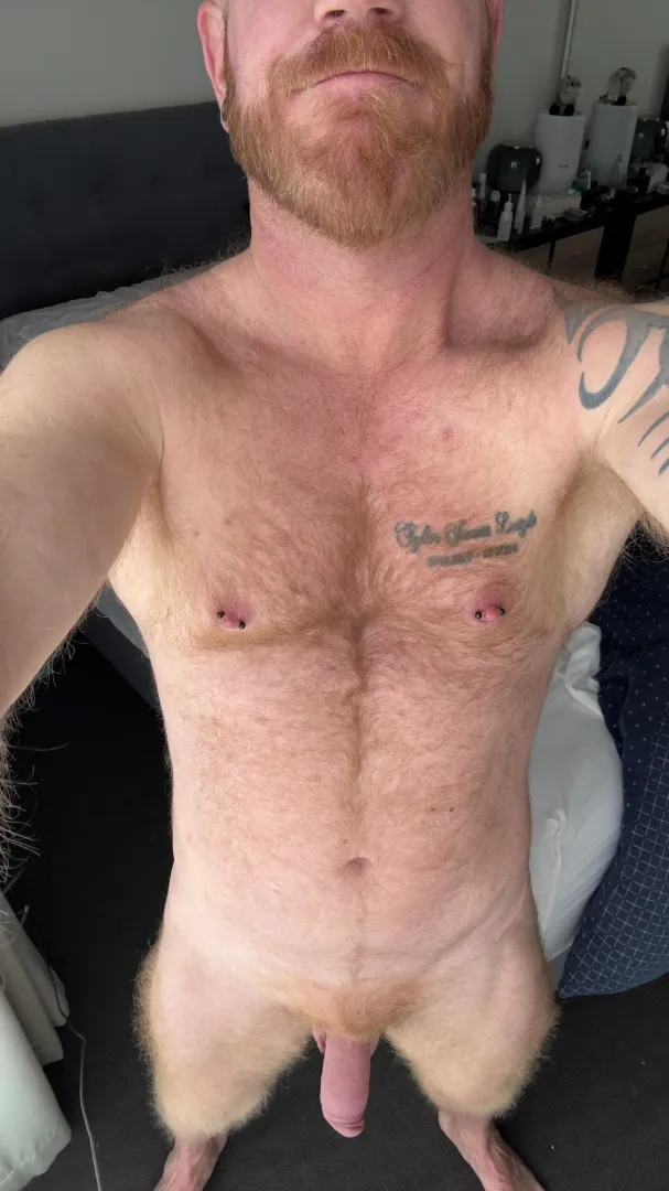 Hanging low in the morning sun posted by NoRepresentative4928