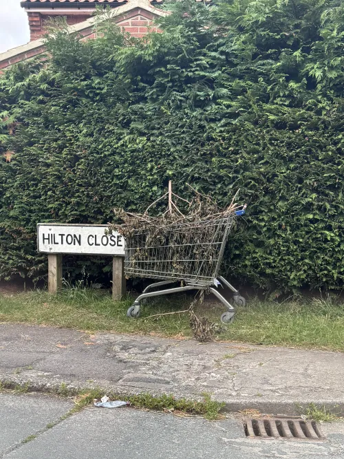 Hanging out on street corners with her bush out by capnfuckface