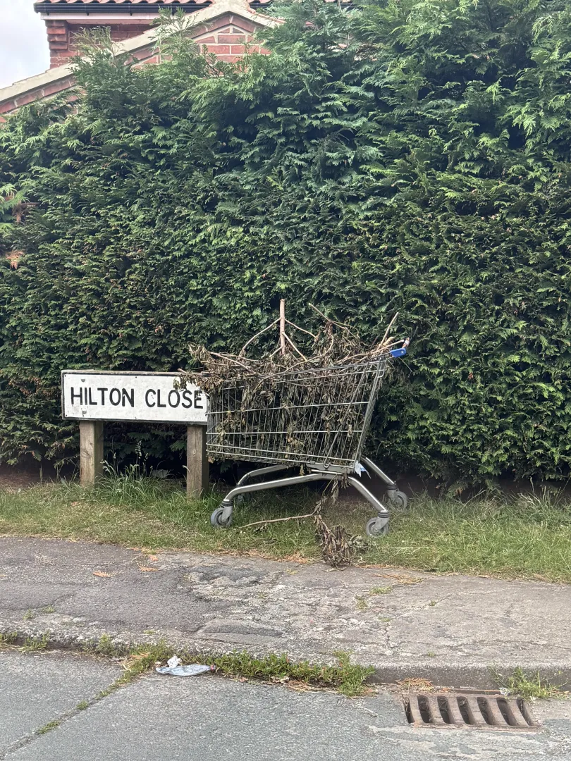 Hanging out on street corners with her bush out posted by capnfuckface