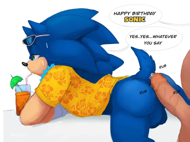 Happy Birthday SONIC! Here's Your Birthday Gift (@aciidtron) by Sonic_the_hedgedog