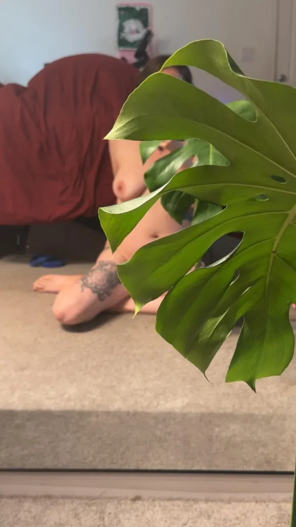 Happy Friday y’all  posted by Rough_Performance_46