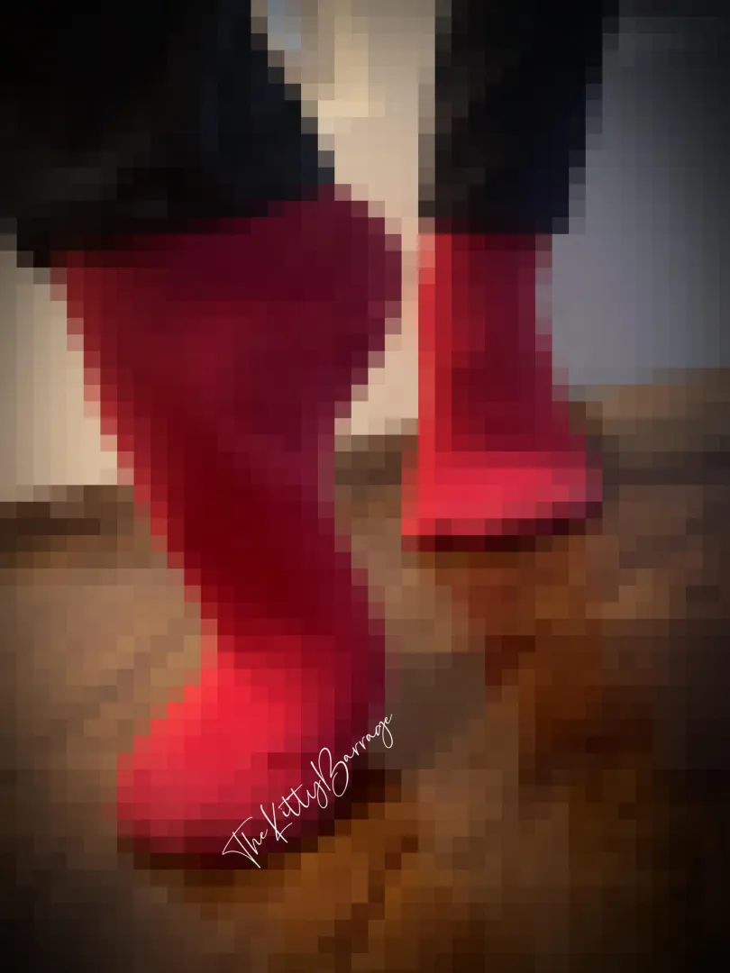 Happy lunar new year  posted by kitkatkittykatcat