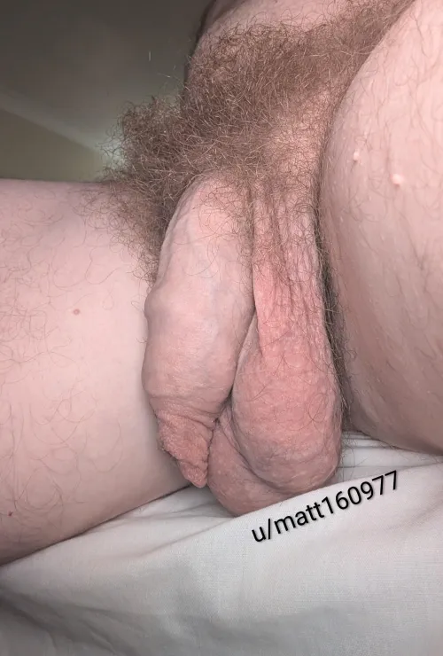 Happy Mardi Gras from Sydney! ️‍ by matt160977