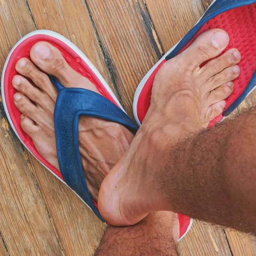 Happy Saturday! ☀️ by julian_the_fuz300