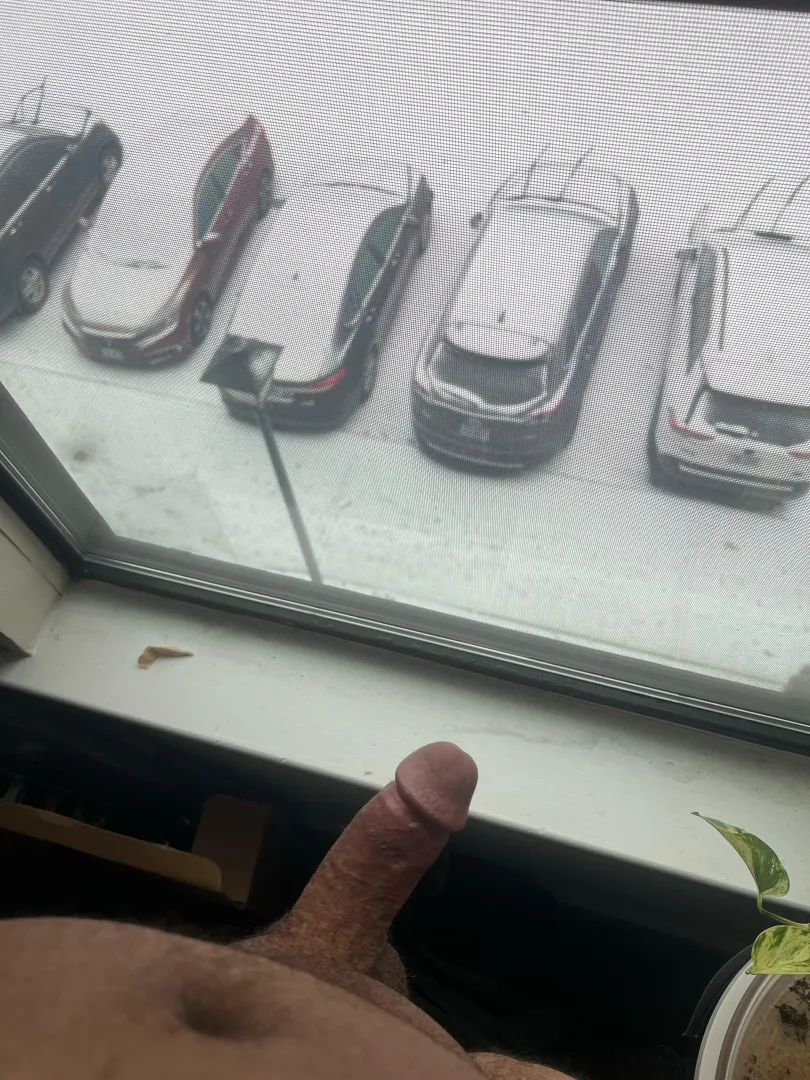 Happy snow day posted by piscesafterdark