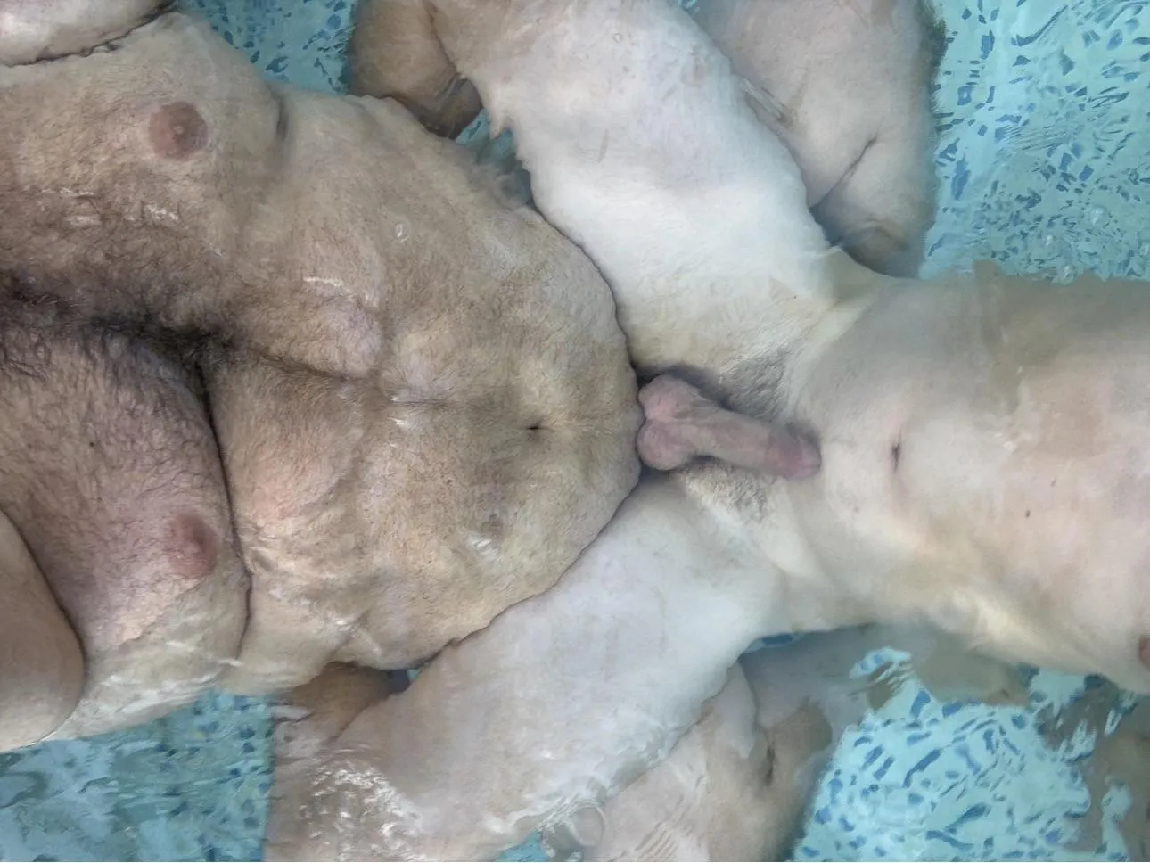 Happy Valentine’s Day 42 posted by bigbearandboy