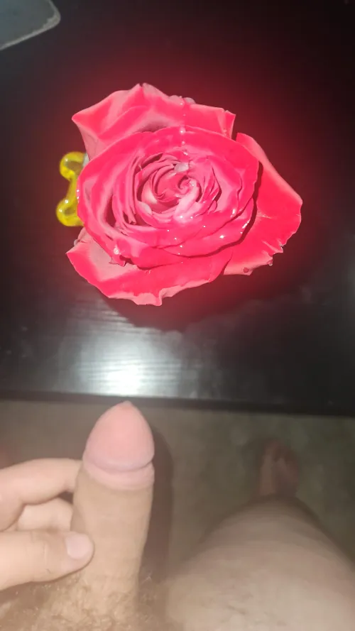 Happy valentine's day by Defiant_State1437