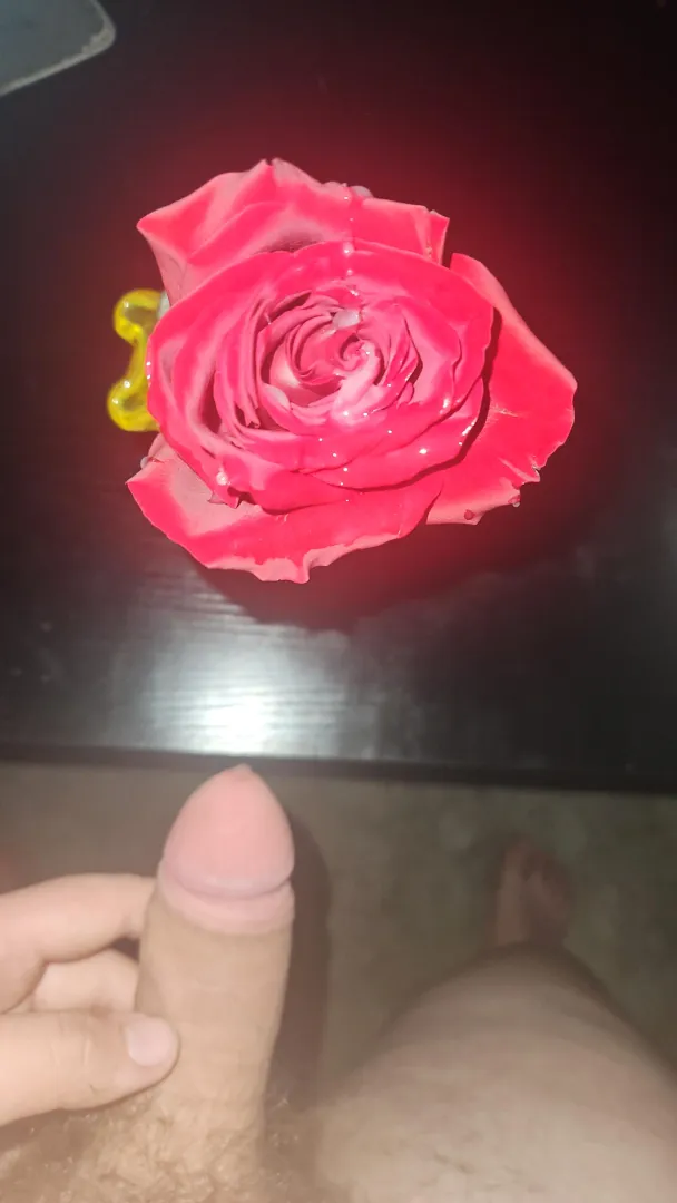 Happy valentine's day posted by Defiant_State1437