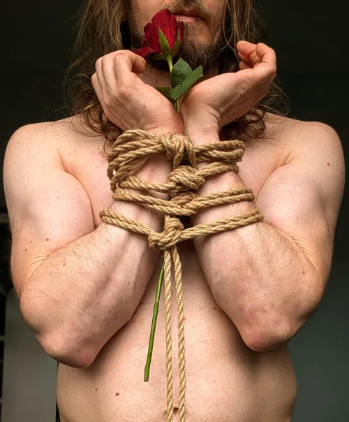 Happy Valentine's Day, r/LadyBonersGoneKinky! by once_owned