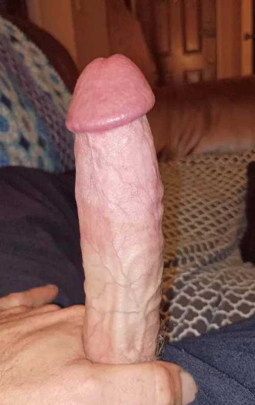 Hard by spidermangrip