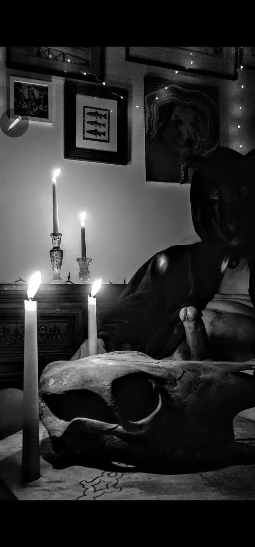 Hard bones /soft wax by Happy-donkey69