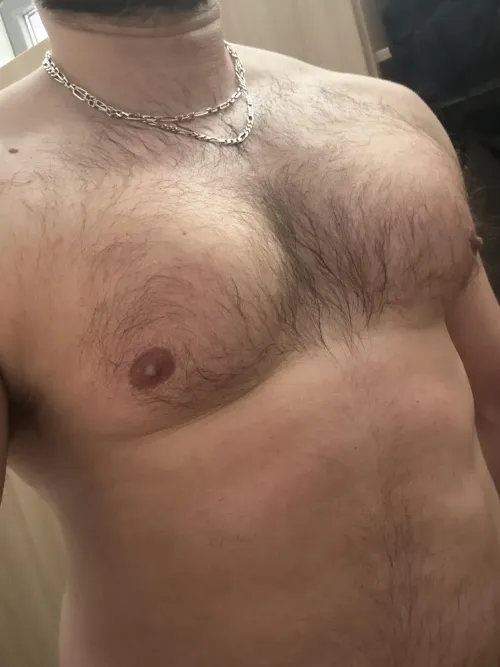 Hard nipples and sweaty hairy chest after gym by PureHairyTorso