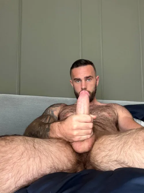 hard wood and beards home alone by fubbleteyaking112