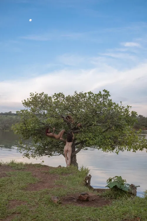 Harvest season by wilsonxpics
