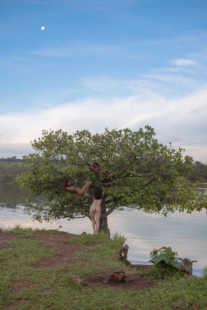 Harvest season posted by wilsonxpics