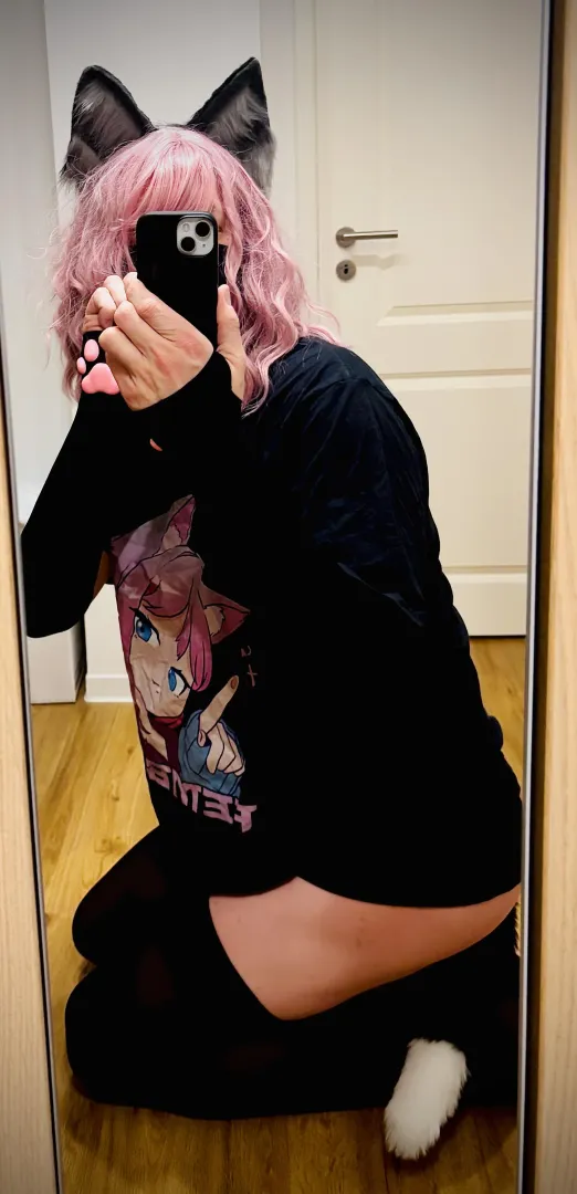 Hat jemand einen Catboy bestellt?  posted by Impressive-Hunt-2360