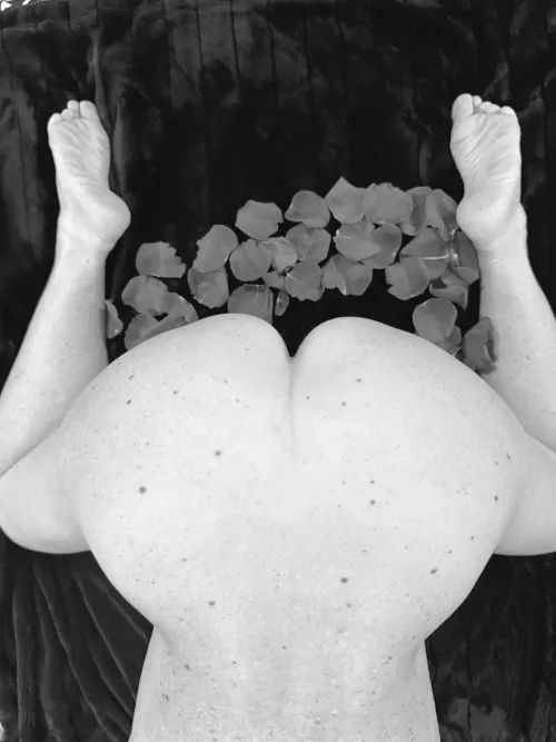 Hated to waste the roses (f)55 by ChubbyGirl69