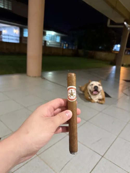 HDM Double Corona (2025) by Kitchen_Homework7300