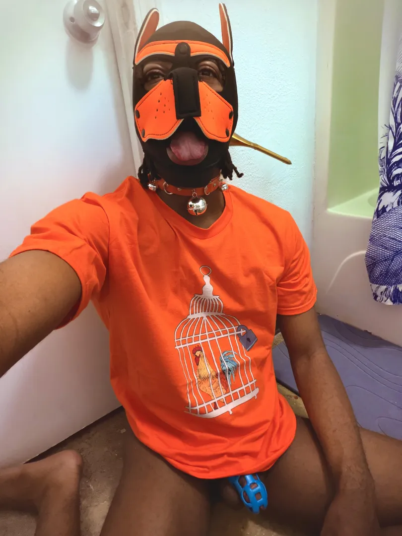  He keeps calling me his “Bathroom Pup “ posted by MyOwnLittleBiome