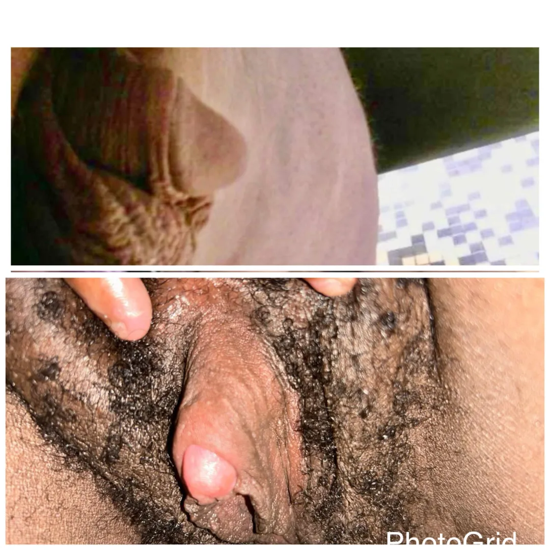 Head to head posted by Smldckbiboi5