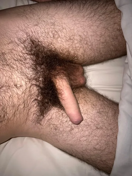 Heavy pubes and loose dick by sterlingcdeez