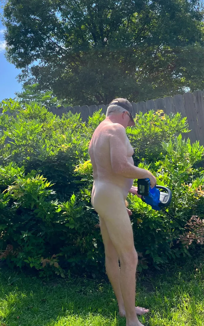 Hedge trimming posted by nudedude-1