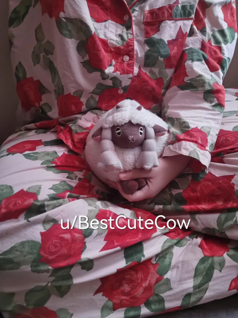 (He/Him) Still finding my place as a little posted by BestCuteCow