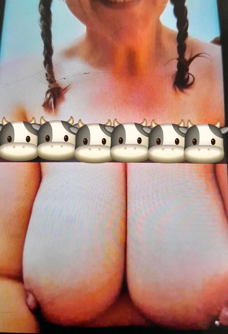 Heifer ready to start milking posted by Sweet-Grapefruit-613