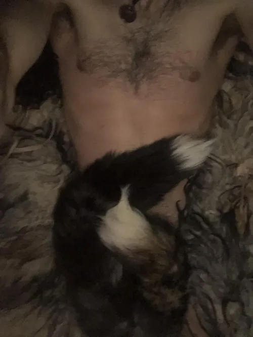 Hello  by wild_fur_ai