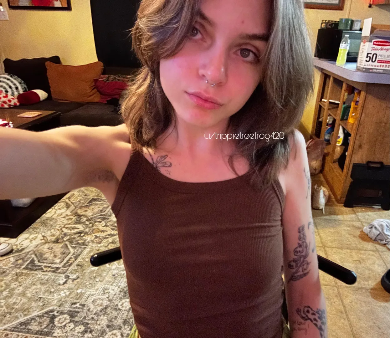 hello hello posted by trippietreefrog420